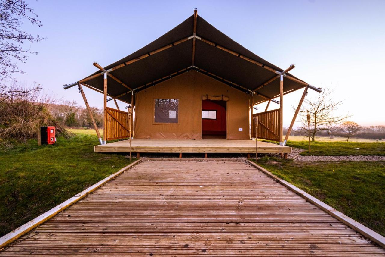 Arcadia Safari Tent In Private 5 Acre Field Рексем Екстер'єр фото